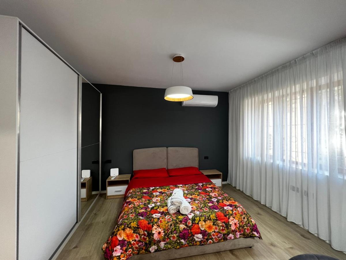 Amion Apartment In Center Of 티라나 외부 사진